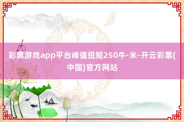 彩票游戏app平台峰值扭矩250牛·米-开云彩票(中国)官方网站