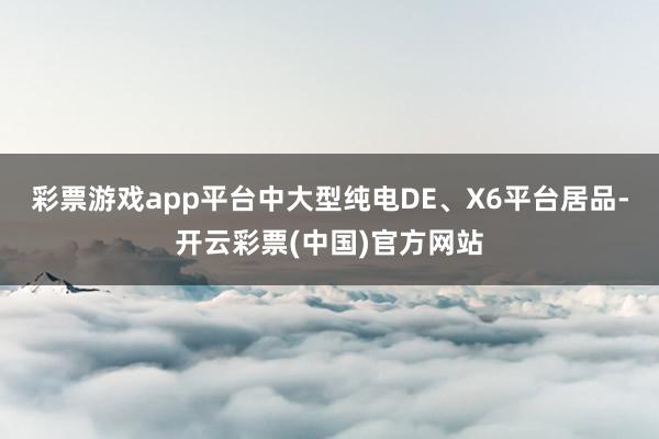 彩票游戏app平台中大型纯电DE、X6平台居品-开云彩票(中国)官方网站