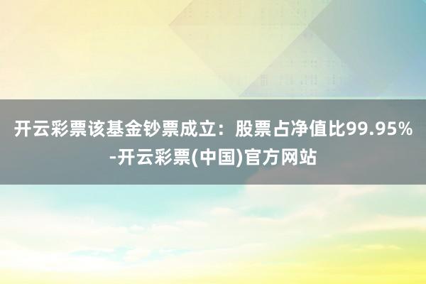 开云彩票该基金钞票成立：股票占净值比99.95%-开云彩票(中国)官方网站