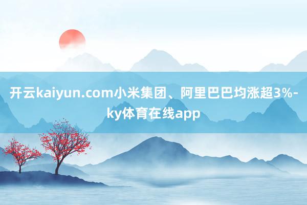 开云kaiyun.com小米集团、阿里巴巴均涨超3%-ky体育在线app