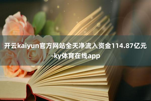 开云kaiyun官方网站全天净流入资金114.87亿元-ky体育在线app