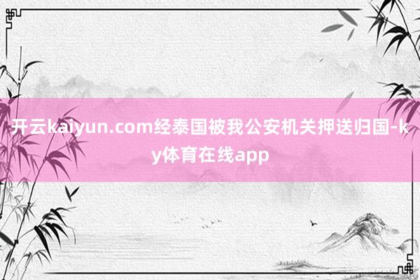 开云kaiyun.com经泰国被我公安机关押送归国-ky体育在线app